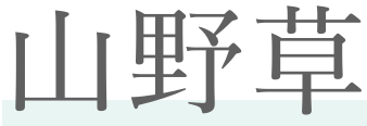 山野草